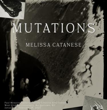 Mutations, by Melissa Catanese